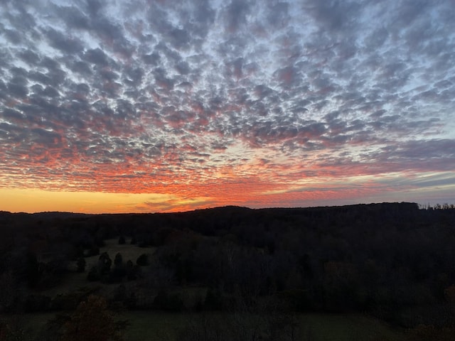 1709 Wildlife Trl, Kingston Springs, TN 37082 - view of mountain backdrop