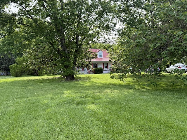 view of grassy yard