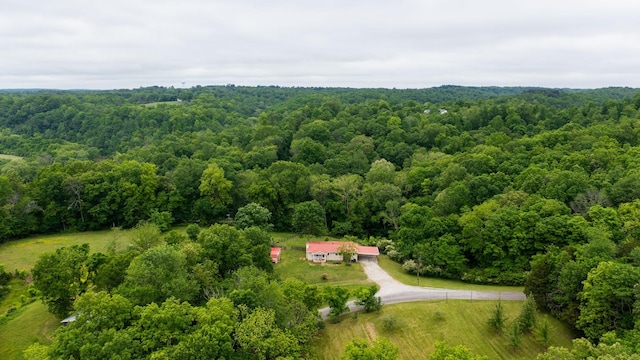 251 Old Sr 48, Centerville, TN 37033 - bird's eye view of a heavily wooded area