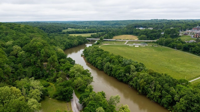 251 Old Sr 48, Centerville, TN 37033 - bird's eye view of a nearby body of water and a forest