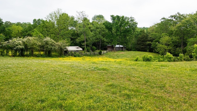 251 Old Sr 48, Centerville, TN 37033 - view of yard