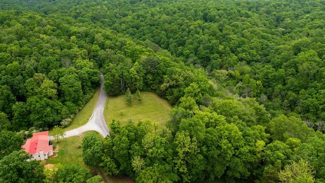 251 Old Sr 48, Centerville, TN 37033 - bird's eye view of a heavily wooded area