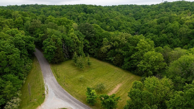 251 Old Sr 48, Centerville, TN 37033 - aerial view of a forest