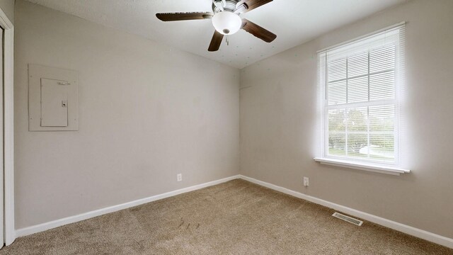 572 Cabot Cv, Clarksville, TN 37042 - photo 25