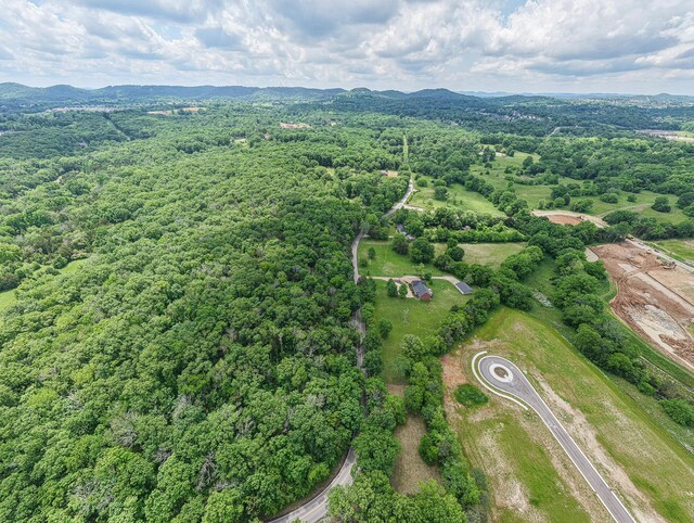 bird's eye view