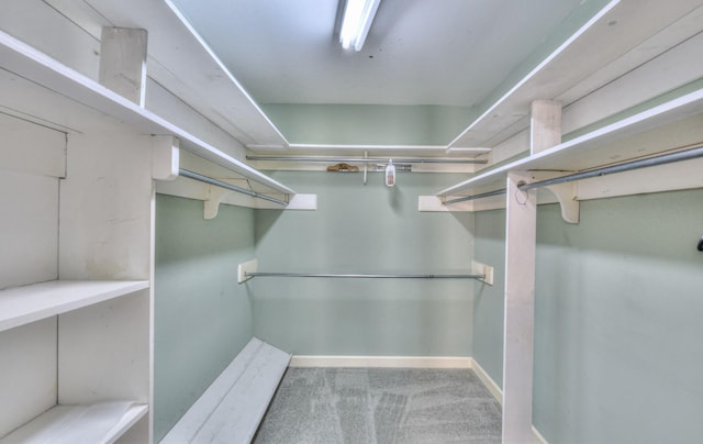 spacious closet with carpet