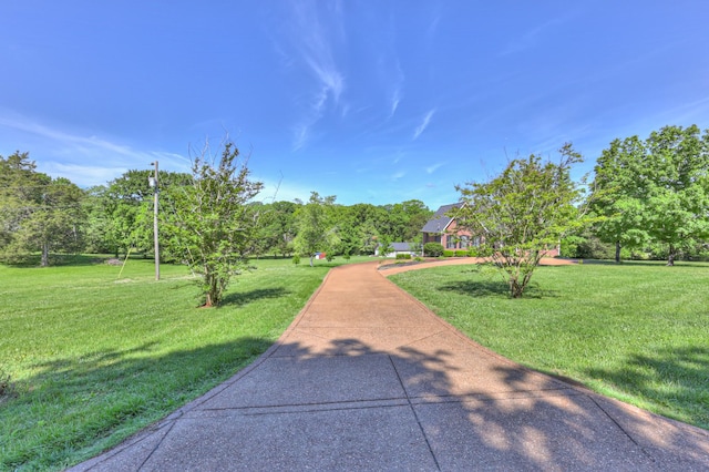 view of property's community with a lawn