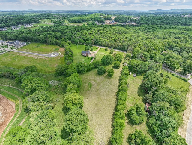 drone / aerial view