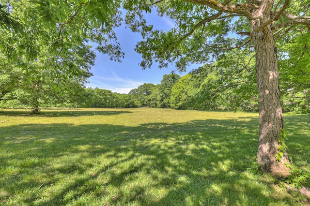 view of grassy yard featuring a forest view