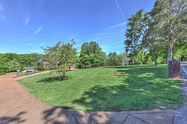 view of grassy yard