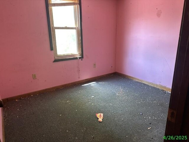 205 New Arnold St, Earlington, KY 42410 - photo 13