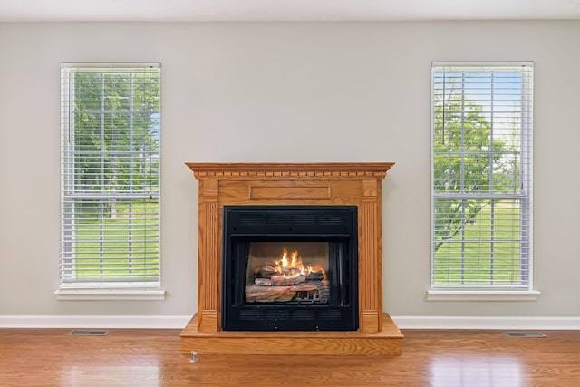 2907 York Rd, Pleasant View, TN 37146 - detailed view of baseboards, wood finished floors, and a warm lit fireplace