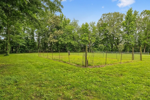 2907 York Rd, Pleasant View, TN 37146 - view of yard
