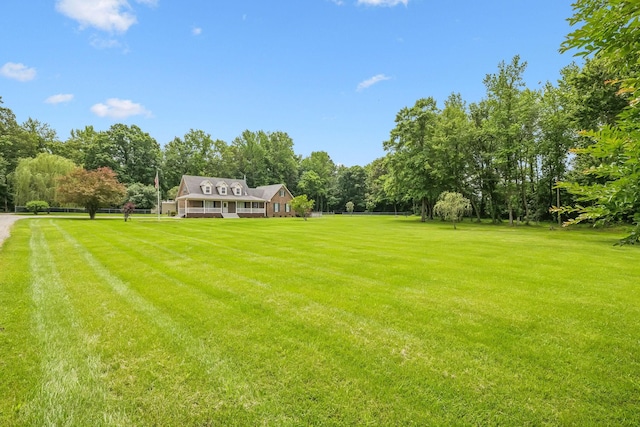 2907 York Rd, Pleasant View, TN 37146 - view of grassy yard