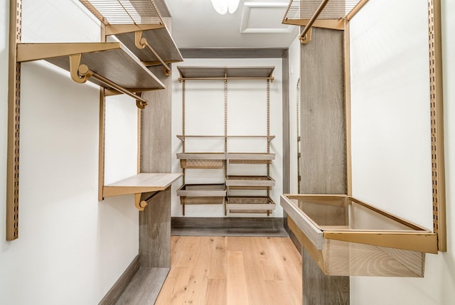 95 Short Dr, Mount Juliet, TN 37122 - walk in closet with wood finished floors