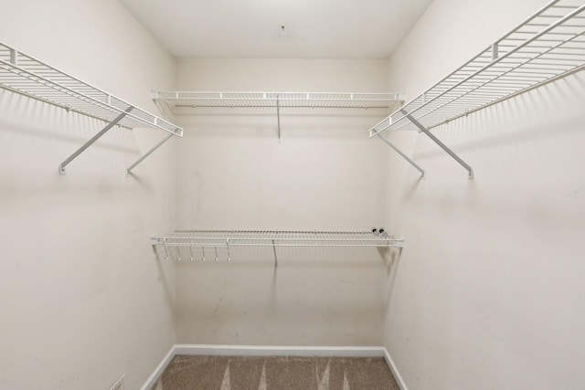 spacious closet with carpet