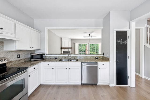 kitchen featuring stainless steel appliances, under cabinet range hood, a sink, light wood finished floors, and a ceiling fan
