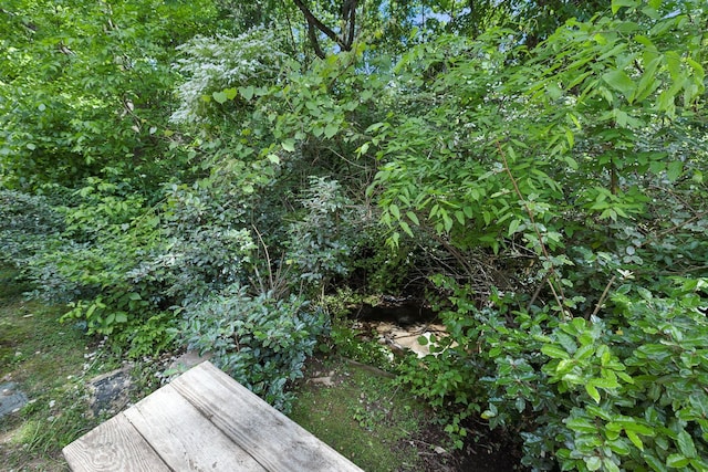 view of undeveloped land