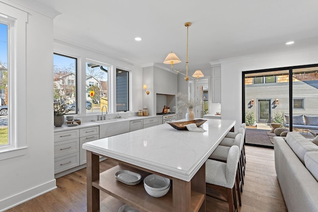 kitchen featuring a sink, open floor plan, ornamental molding, light wood-style floors, and hanging light fixtures
