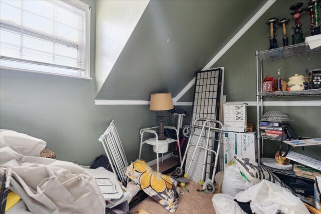 1505 Roane St, Covington, TN 38019 - miscellaneous room with carpet flooring and lofted ceiling