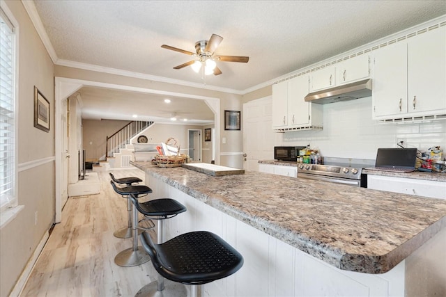 1505 Roane St, Covington, TN 38019 - kitchen with under cabinet range hood, ceiling fan, black microwave, ornamental molding, and white cabinetry