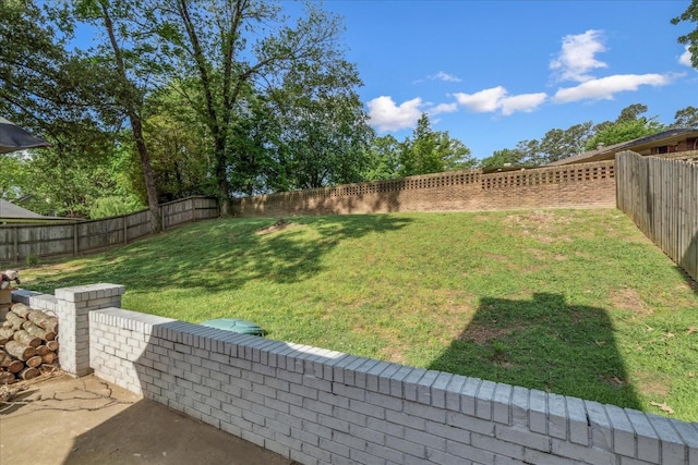 1505 Roane St, Covington, TN 38019 - view of yard