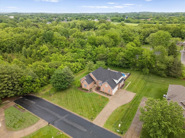 drone / aerial view of a forest
