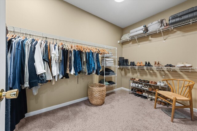 spacious closet featuring carpet flooring