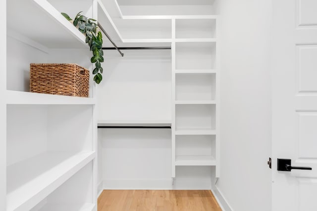 603B Freedom Ct, Nashville, TN 37209 - walk in closet featuring light wood-style floors