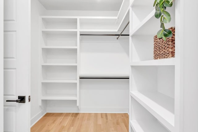 603B Freedom Ct, Nashville, TN 37209 - walk in closet featuring light wood-style floors