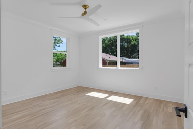 6401 Thunderbird Dr, Nashville, TN 37209 - empty room with light wood-style flooring, baseboards, and a ceiling fan
