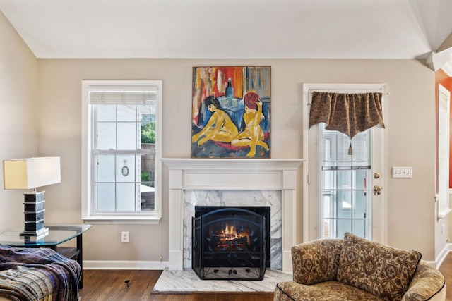 living area featuring wood finished floors, baseboards, and a premium fireplace