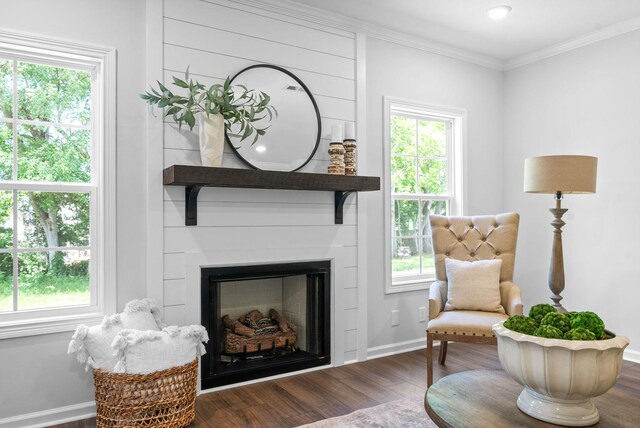 272 Kildeer Dr, Clarksville, TN 37040 - living area featuring wood finished floors, ornamental molding, a large fireplace, and baseboards