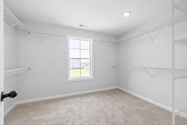 272 Kildeer Dr, Clarksville, TN 37040 - spacious closet featuring carpet