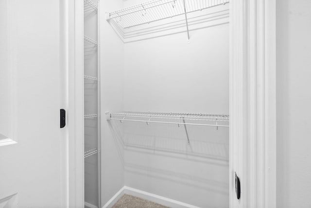 272 Kildeer Dr, Clarksville, TN 37040 - view of walk in closet