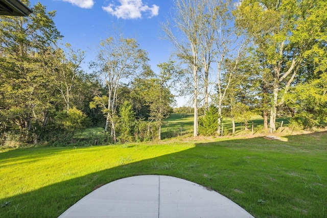 1611 Martha Washington Way, Murfreesboro, TN 37130 - view of grassy yard