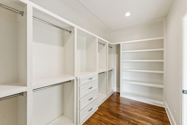 1611 Martha Washington Way, Murfreesboro, TN 37130 - walk in closet with dark wood finished floors
