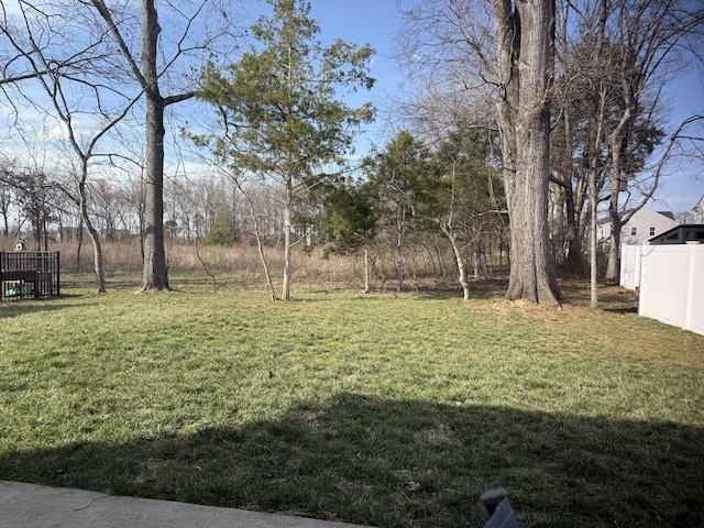 view of yard