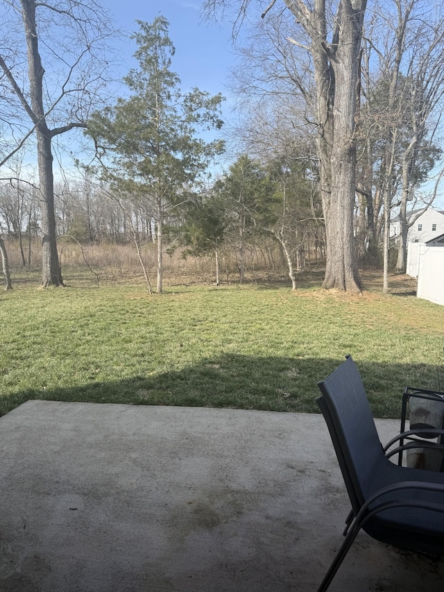 view of green lawn with a patio