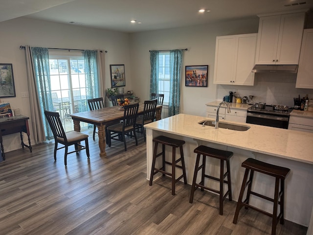 kitchen featuring a sink, electric stove, dark wood-style flooring, decorative backsplash, and light stone counters