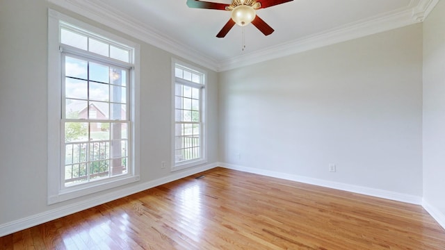 4050 Oak Pointe Dr, Pleasant View, TN 37146 - spare room featuring healthy amount of natural light, light wood-style flooring, crown molding, and baseboards