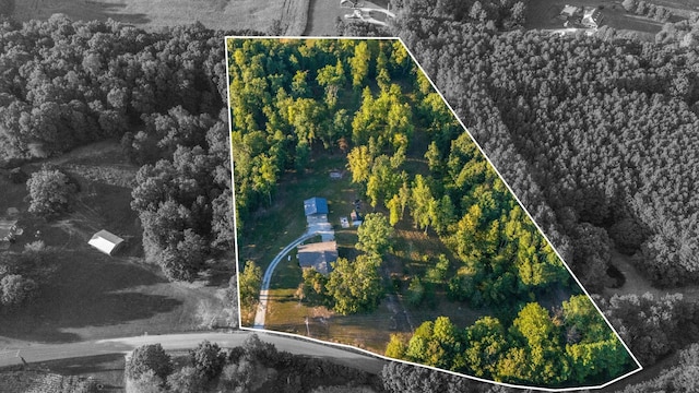 960 Knob Creek Rd, Lawrenceburg, TN 38464 - aerial overview of property's location featuring property boundaries highlighted and a heavily wooded area