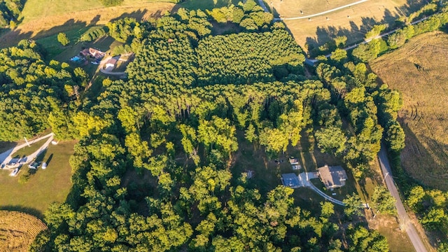 960 Knob Creek Rd, Lawrenceburg, TN 38464 - aerial view of property's location