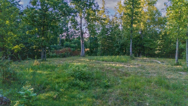 960 Knob Creek Rd, Lawrenceburg, TN 38464 - view of woods