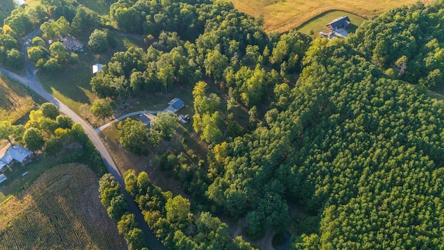 960 Knob Creek Rd, Lawrenceburg, TN 38464 - aerial view of property's location featuring rural landscape