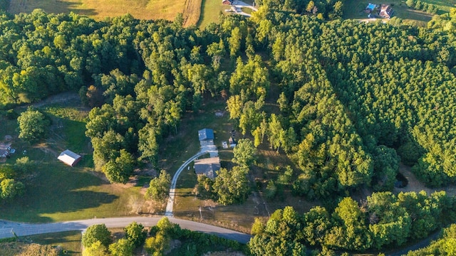 960 Knob Creek Rd, Lawrenceburg, TN 38464 - aerial view of property's location