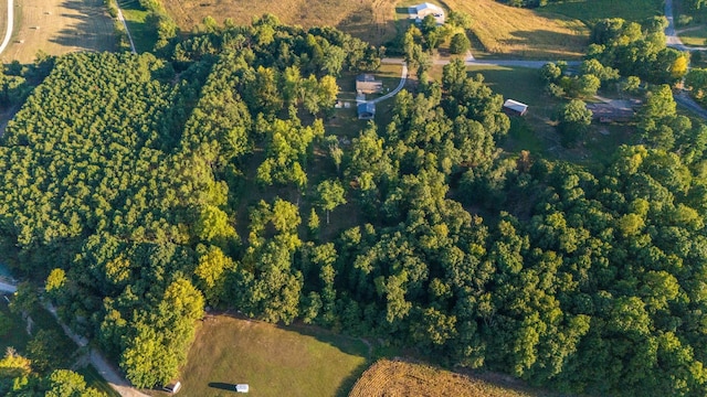 960 Knob Creek Rd, Lawrenceburg, TN 38464 - aerial view of property and surrounding area