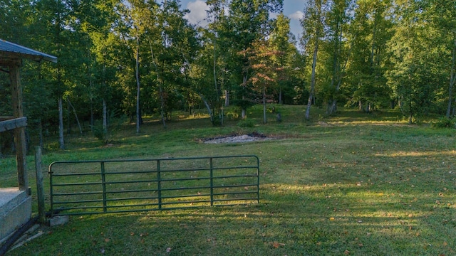 960 Knob Creek Rd, Lawrenceburg, TN 38464 - gate featuring a yard