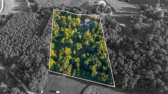 960 Knob Creek Rd, Lawrenceburg, TN 38464 - view of property location featuring property boundaries highlighted