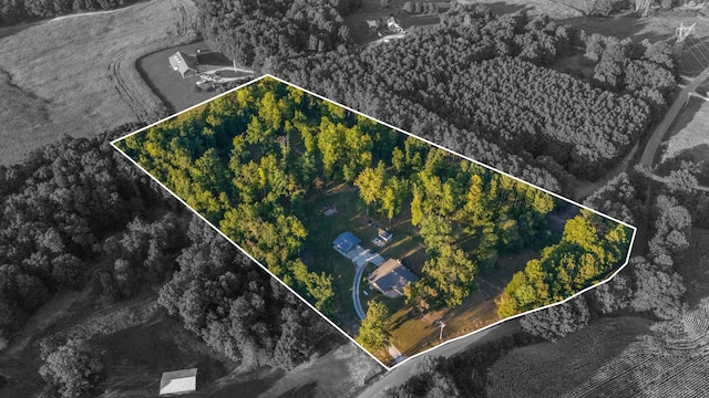 960 Knob Creek Rd, Lawrenceburg, TN 38464 - aerial overview of property's location with property parcel outlined